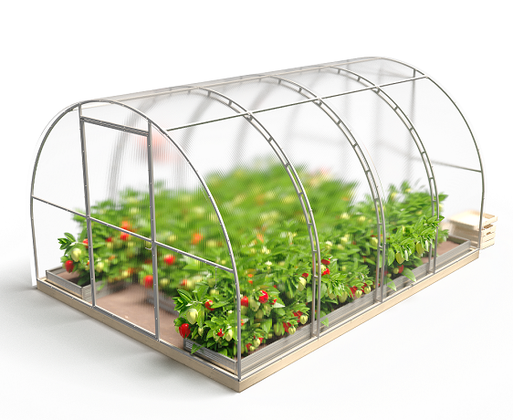 Теплица Титан Цинк